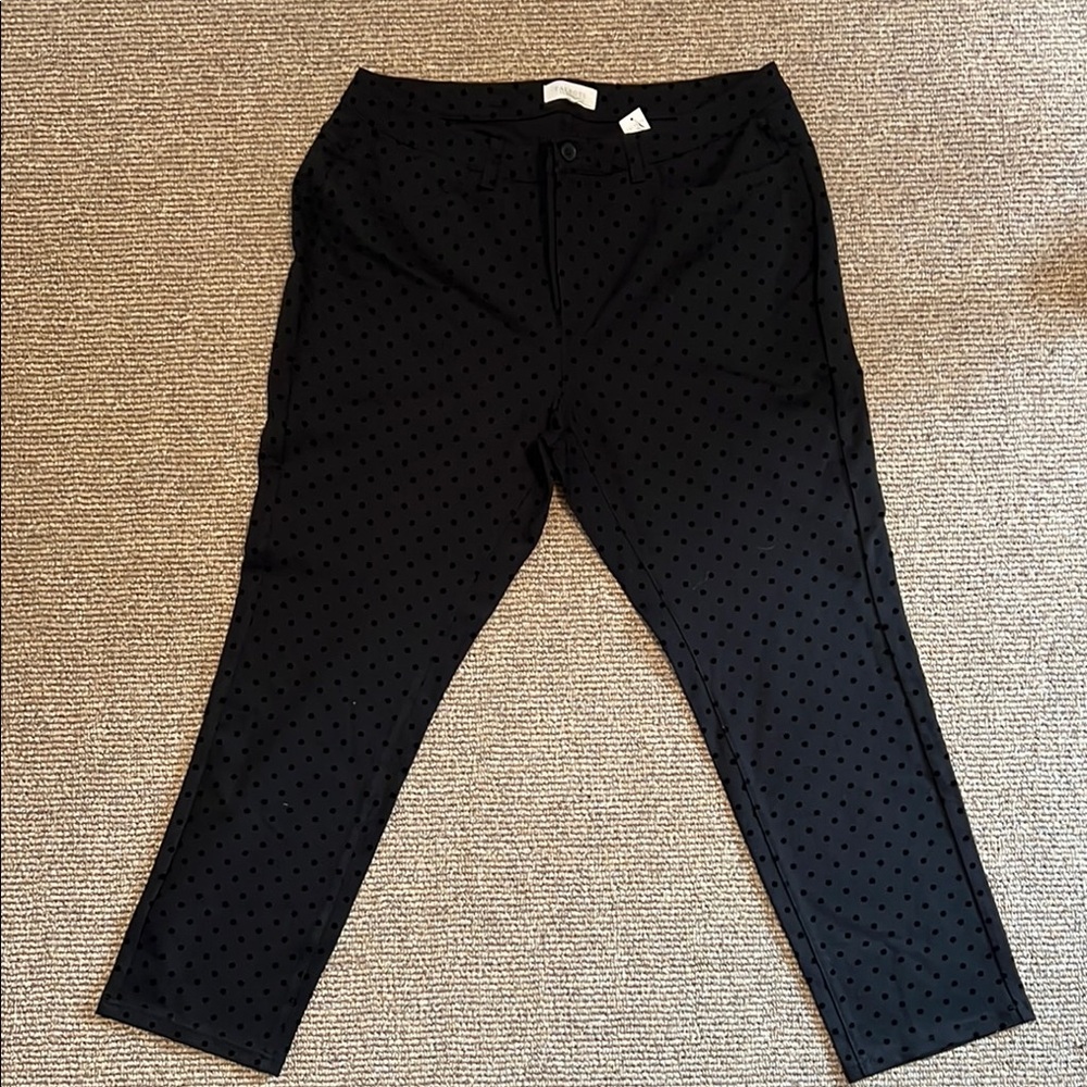 Black Polka Dot Woman’s  Pants